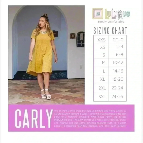 Lularoe small terracotta with black micro stripe Carly‎ dress.NWT. Cotton blend! - Picture 5 of 6